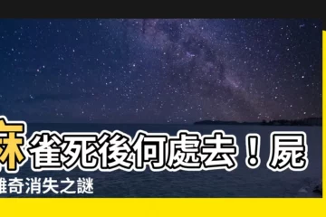 【麻雀死掉】麻雀死後何處去！屍首離奇消失之謎