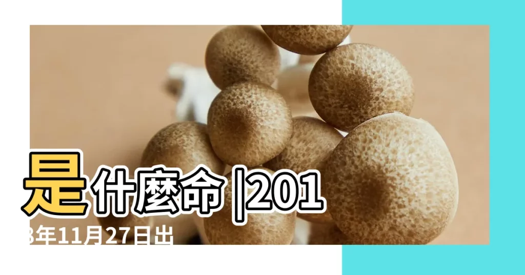 是什麼命 |2018年11月27日出生時間看命運 |屬什麼生肖 |【2018年11月27屬什麼】