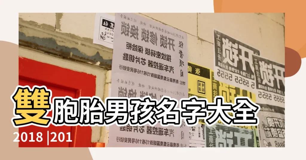 雙胞胎男孩名字大全2018 |2018年雙胞胎男孩名字雙胞胎起名字大全2018 |適合雙胞胎男孩的名字 |【2018雙胞胎男孩起名字】