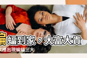 【蝙蝠到家】蝙蝠到家，大富大貴！家裡出現蝙蝠三大徵兆，財神爺就要上門啦！