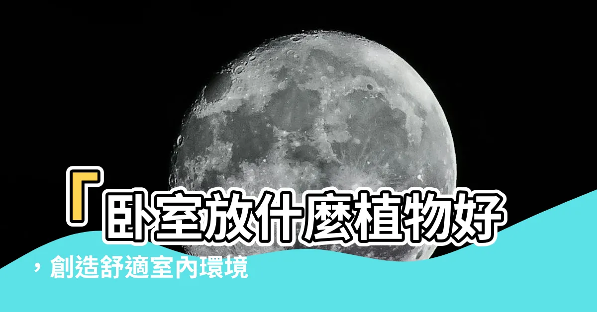 【卧室放什麼植物好】「卧室放什麼植物好，創造舒適室內環境的最佳選擇」