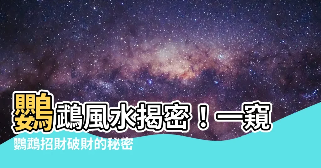【鸚鵡風水】鸚鵡風水揭密！一窺鸚鵡招財破財的秘密與4大喜兆