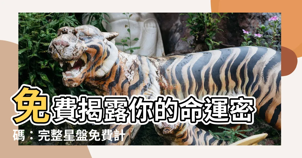 【星盤】免費揭露你的命運密碼：完整星盤免費計算查詢