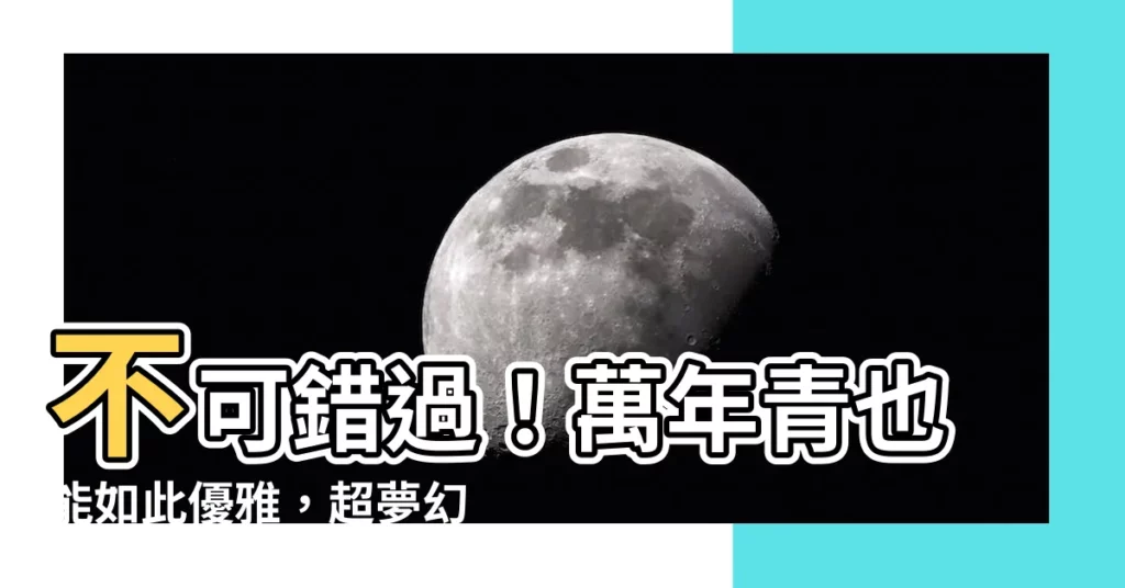 【斑葉萬年青】不可錯過!萬年青也能如此優雅,超夢幻斑葉品種推薦!