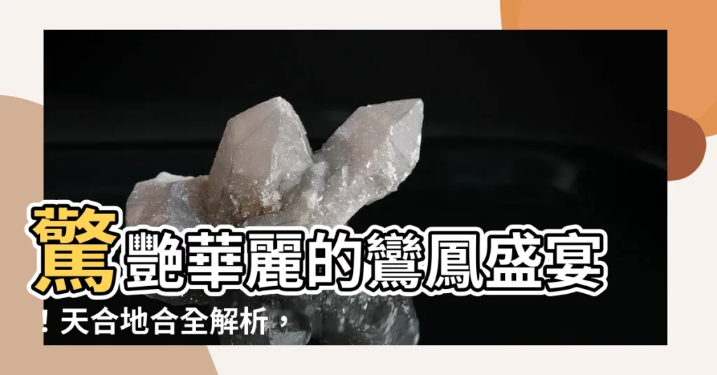 【天合地合表】驚艷華麗的鸞鳳盛宴！天合地合全解析，揭開姻緣天定的奧秘