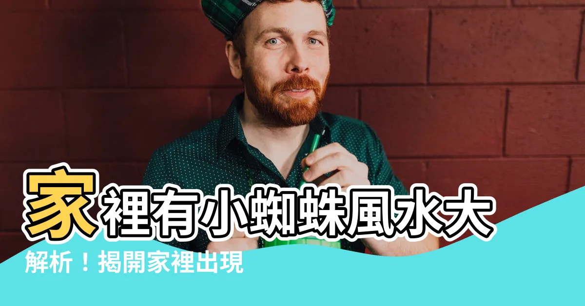 【家裡有小蜘蛛風水】家裡有小蜘蛛風水大解析！揭開家裡出現蜘蛛的秘密意義！