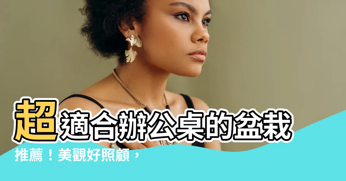 【辦公桌盆栽推薦】超適合辦公桌的盆栽推薦！美觀好照顧，助你增運招財