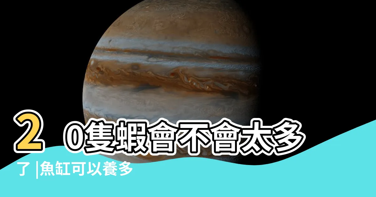 【一尺魚缸養多少魚】20隻蝦會不會太多了 |魚缸可以養多少魚呢 |如何判斷一個魚缸可以裝多少條魚 |