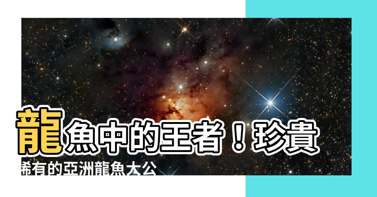 【龍魚】龍魚中的王者！珍貴稀有的亞洲龍魚大公開