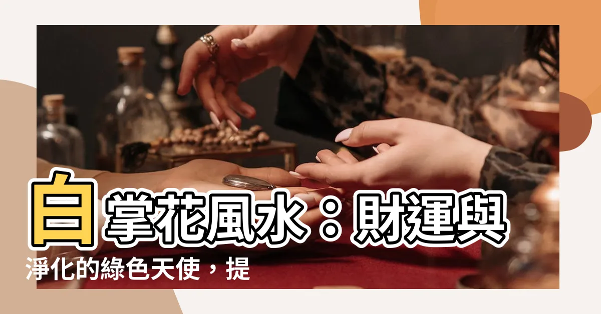 【白掌花風水】白掌花風水：財運與淨化的綠色天使，提升居家正能量