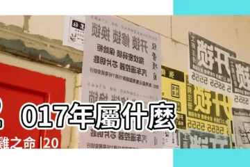 【2017年出生的屬雞的是什麼五行命】2017年屬什麼 |火雞之命 |2017年屬雞的五行屬什麼 |