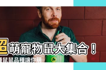 【寵物 鼠】超萌寵物鼠大集合！七種鼠鼠品種讓你萌到不要不要