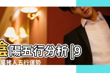 【陰陽五行分析1995年屬豬】陰陽五行分析 |95年屬豬人五行運勢分析 |1995屬豬火命的人五行缺什麼 |