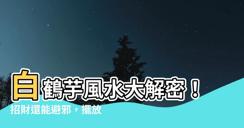 【白鶴芋風水】白鶴芋風水大解密！招財還能避邪，擺放位置超驚奇！