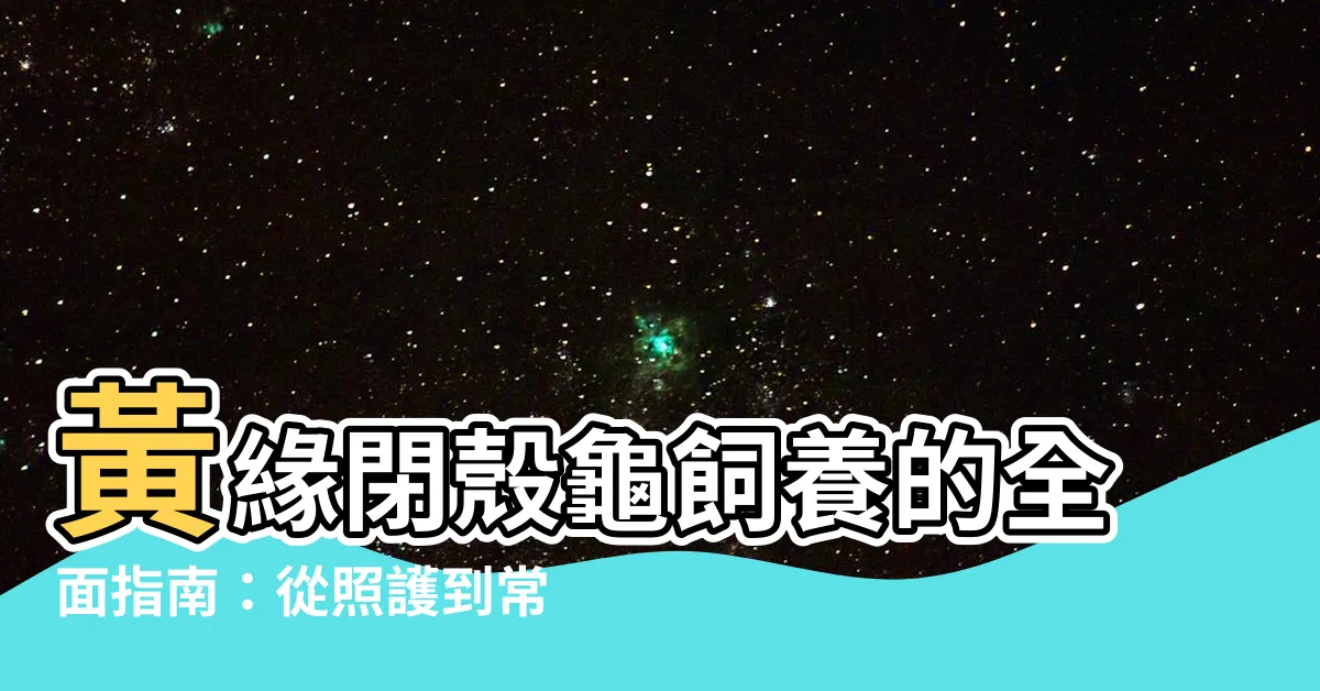 【黃緣閉殼龜飼養】黃緣閉殼龜飼養的全面指南：從照護到常見誤區！