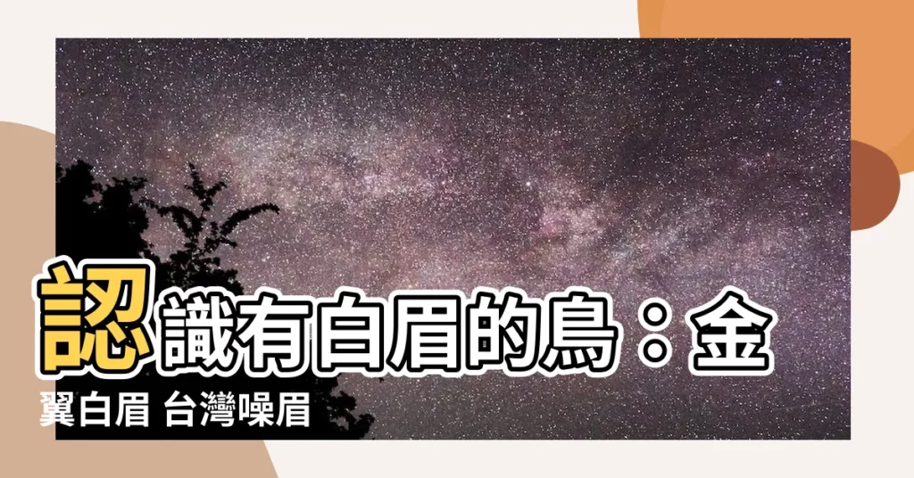【有白眉的鳥】認識有白眉的鳥：金翼白眉 台灣噪眉