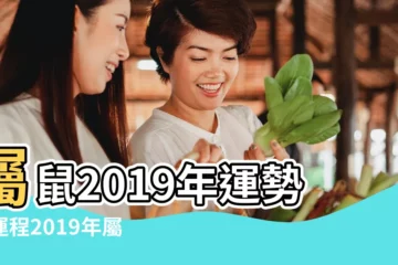 【96正月二十五男鼠在2019運勢】屬鼠2019年運勢及運程2019年屬鼠人的全年運勢 |屬鼠的人2019年運程 |屬鼠2019年運勢及運程 |