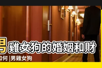 【男屬雞女屬狗婚姻和馬】男雞女狗的婚姻和財運如何 |男雞女狗的婚姻相配嗎屬狗和屬雞相沖嗎相害化解方法 |男雞女狗婚姻相配好嗎屬雞和屬狗相沖嗎 |