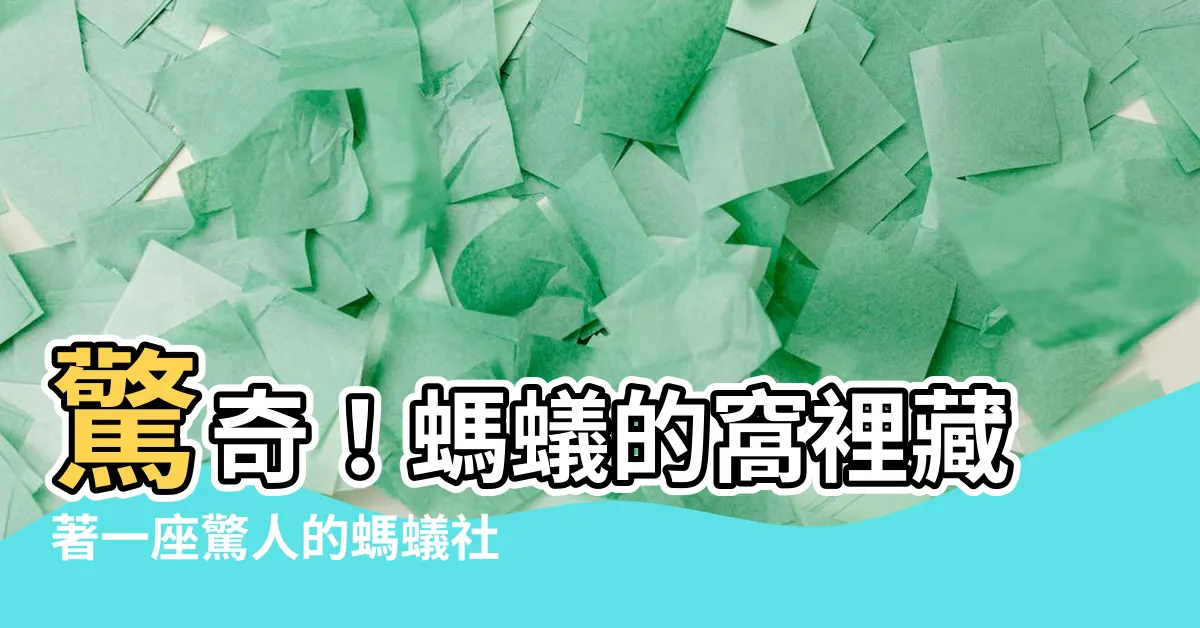 【螞蟻的窩】驚奇！螞蟻的窩裡藏著一座驚人的螞蟻社會