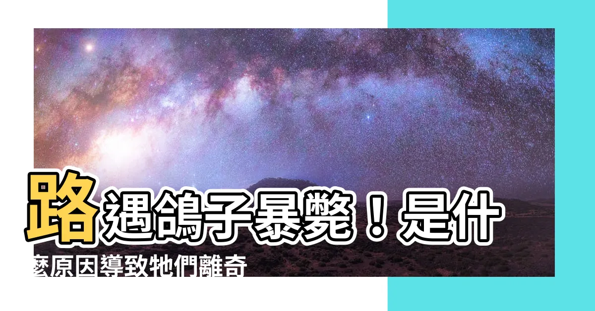 【看到鴿子死掉】路遇鴿子暴斃！是什麼原因導致牠們離奇死亡？