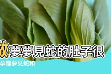 【夢見大肚子蛇什麼預兆】做夢夢見蛇的肚子很大 |孕婦夢見蛇和魚 |夢見蛇的吉凶預兆蛇躲在 |