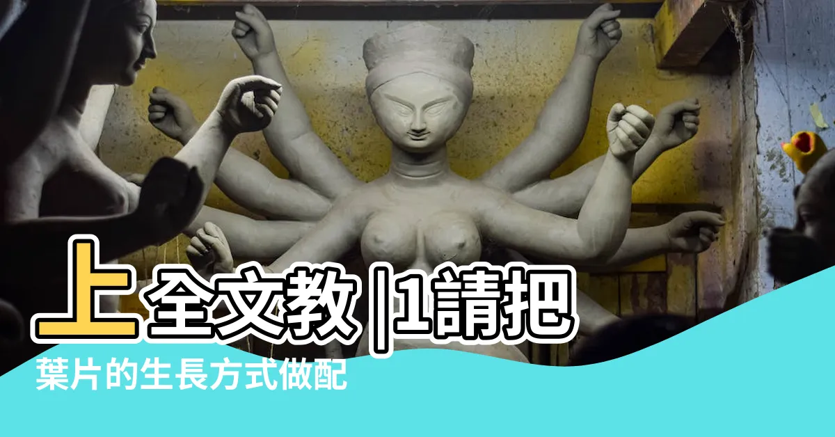 【葉子生長在莖上的位置稱為什麼】上全文教 |1請把葉片的生長方式做配對 |一題2分 |
