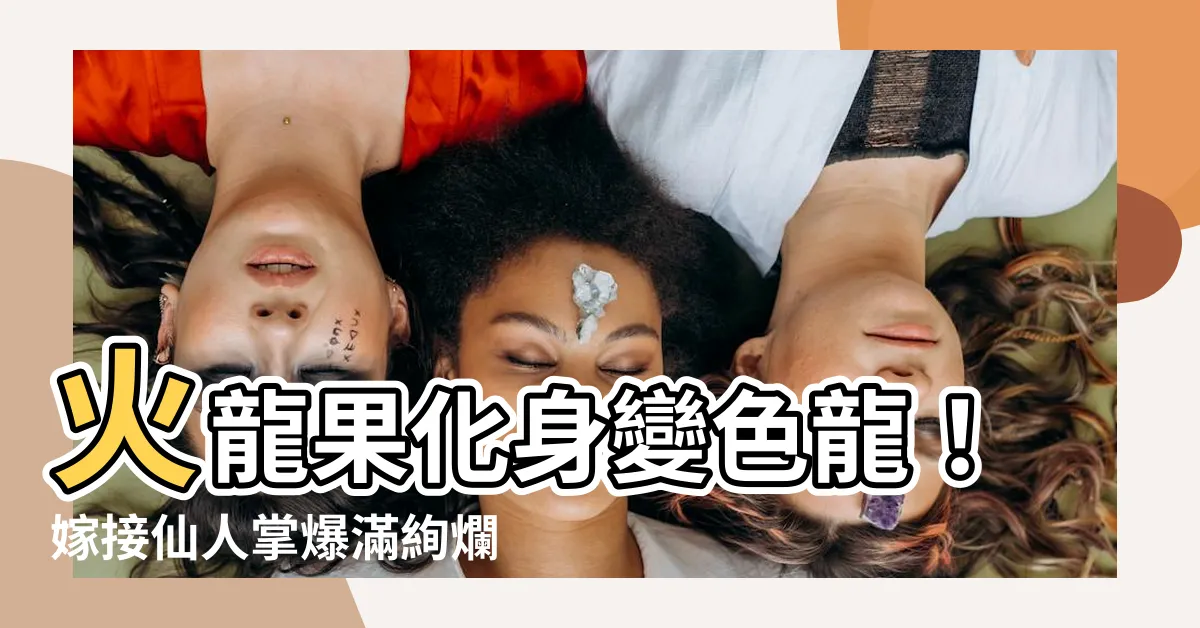 【火龍果嫁接仙人掌】火龍果化身變色龍！嫁接仙人掌爆滿絢爛新芽
