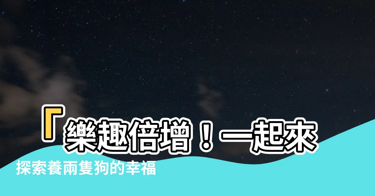 【兩隻狗】「樂趣倍增！一起來探索養兩隻狗的幸福秘訣！」