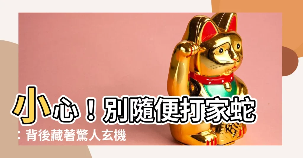 【家蛇不能打】小心!別隨便打家蛇:背後藏著驚人玄機!