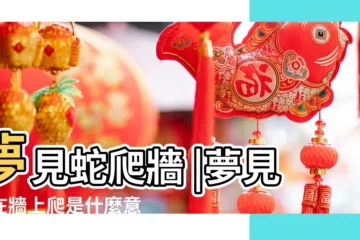 【蛇在牆上 周公解夢】夢見蛇爬牆 |夢見蛇在牆上爬是什麼意思預兆 |夢見蛇在牆上 |