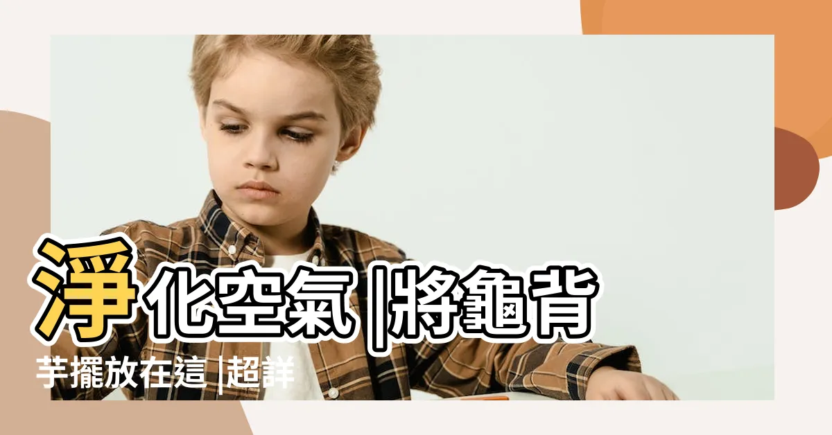 【龜背芋招財】淨化空氣 |將龜背芋擺放在這 |超詳細新手照護指南 |