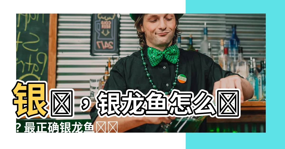 【銀帶飼養】銀帶，銀龍魚怎麼養？最正確銀龍魚飼養秘訣大全