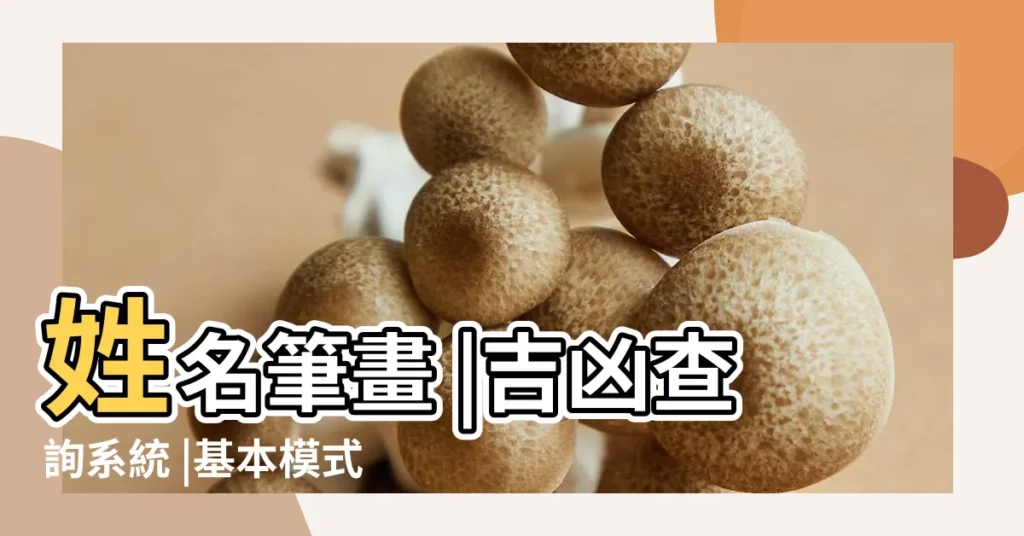 姓名筆畫 |吉凶查詢系統 |基本模式 |【名字總數吉凶】