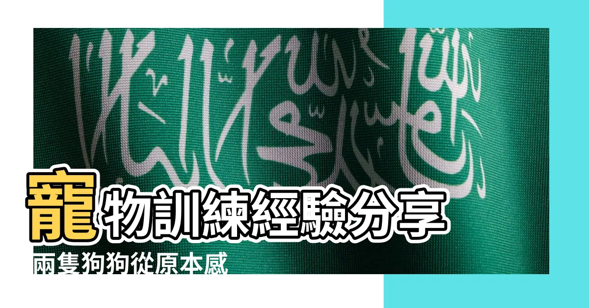 【養兩隻狗打架】寵物訓練經驗分享 |兩隻狗狗從原本感情不好 |如何處理家中兩隻狗的攻擊行為 |