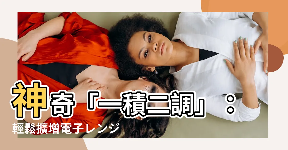 【一積二調】神奇「一積二調」：輕鬆擴增電子レンジ空間，料理更順手！
