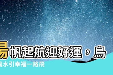 【鳥巢風水】揚帆起航迎好運，鳥巢風水引幸福一路飛翔