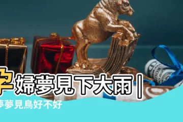 【孕婦夢見下雨天救了小鳥】孕婦夢見下大雨 |做夢夢見鳥好不好 |解夢大師 |