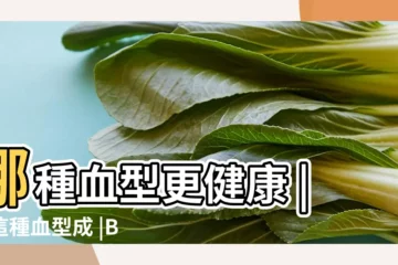 【b型血的身體健康】哪種血型更健康 |但這種血型成 |B型血易患糖尿病 |
