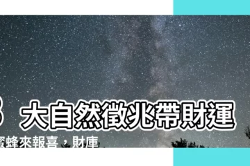 【蜜蜂代表什麼】3大自然徵兆帶財運！蜜蜂來報喜，財庫滿滿擋不住