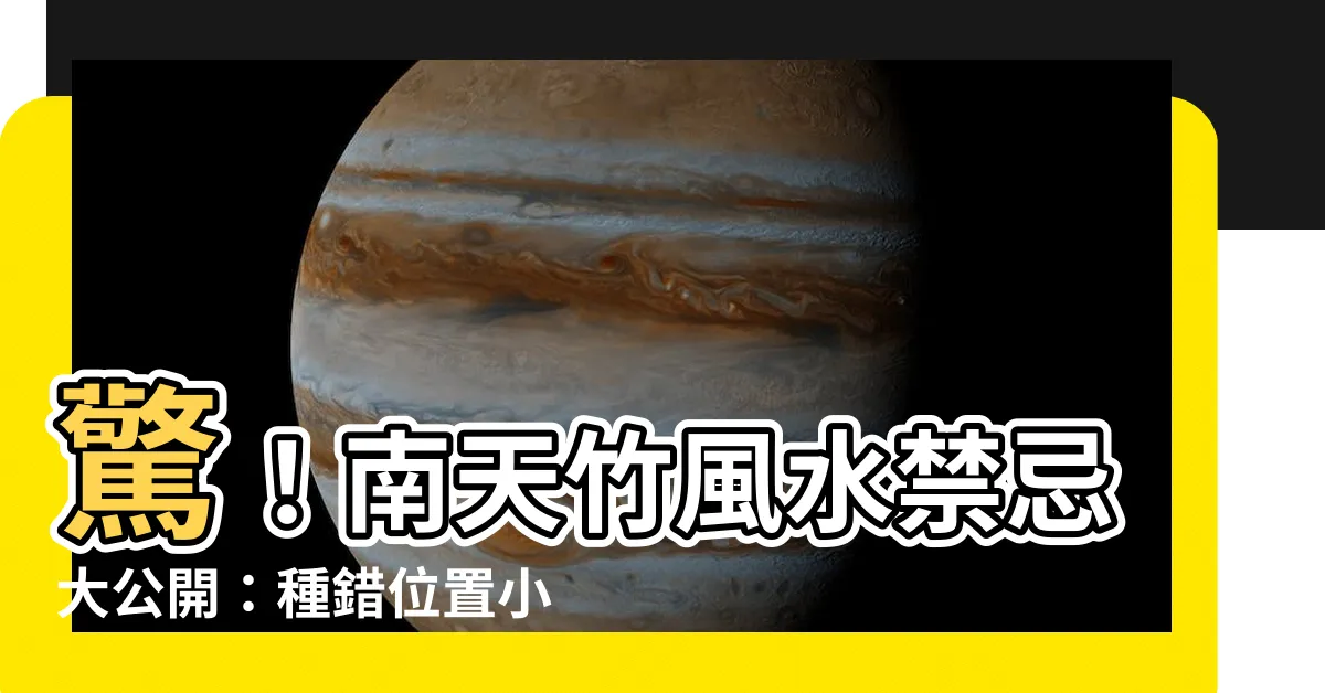 【南天竹風水】驚！南天竹風水禁忌大公開：種錯位置小心壞運連連