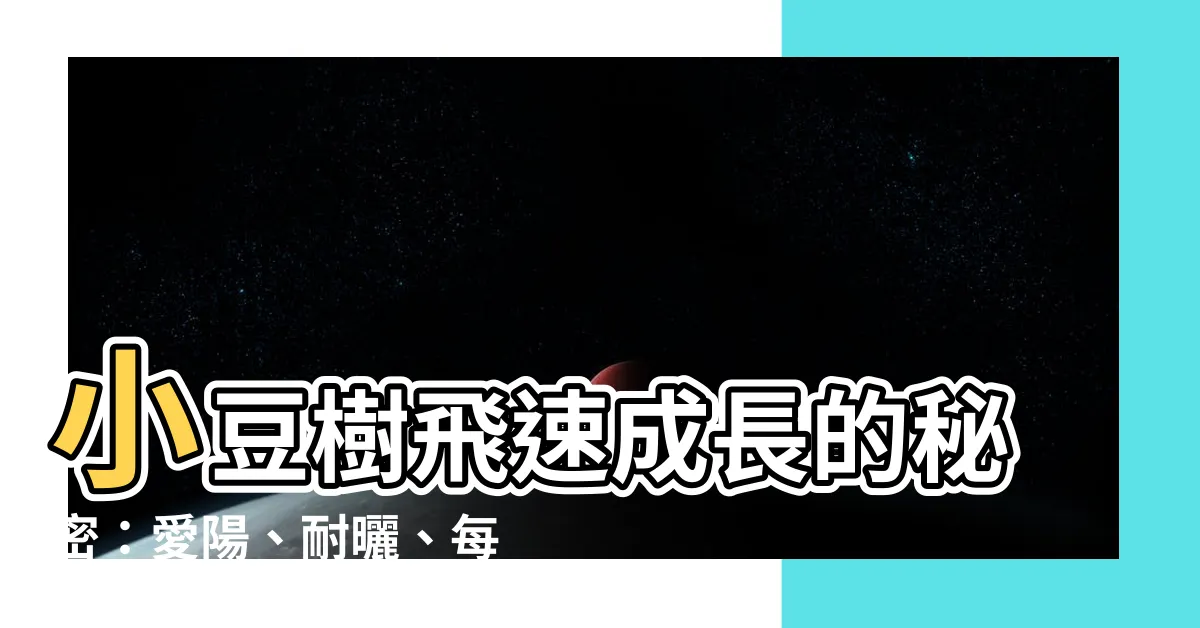 【小豆樹生長速度】小豆樹飛速成長的秘密：愛陽、耐曬、每日澆灌！