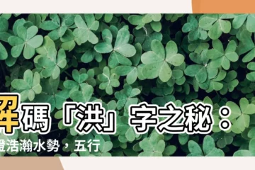 【洪 五行】解碼「洪」字之秘：見證浩瀚水勢，五行相生！