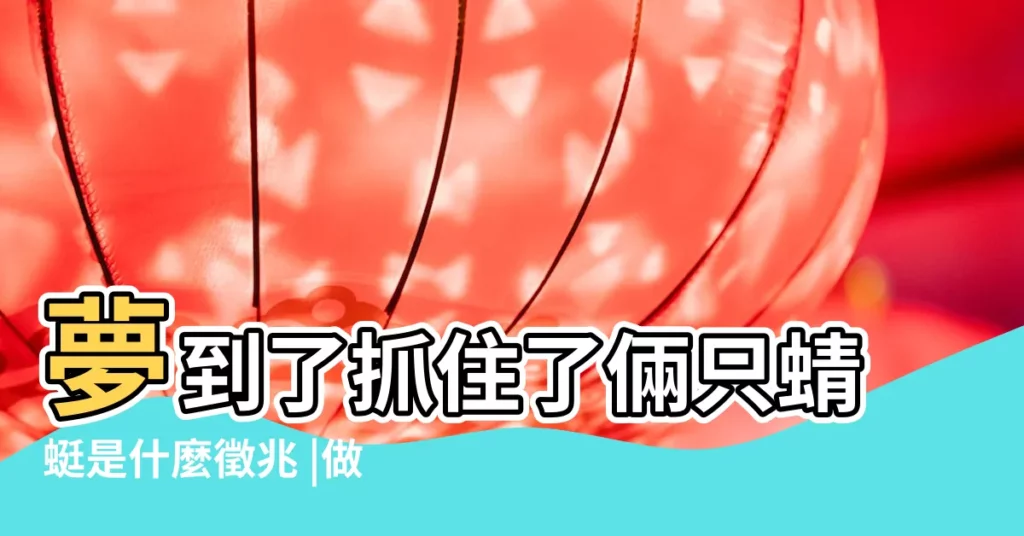 夢到了抓住了倆只蜻蜓是什麼徵兆 |做夢夢見蜻蜓是什麼意思 |夢見捉蜻蜓 |【周公解夢我抓住兩個蜻蜓】