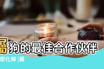 【姐妹倆屬狗和羊相剋嗎】屬狗的最佳合作伙伴 |怎麼化解 |屬羊和屬狗的相沖嗎 |