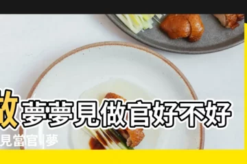 【周公解夢做官】做夢夢見做官好不好 |夢見當官 |夢見做官 |