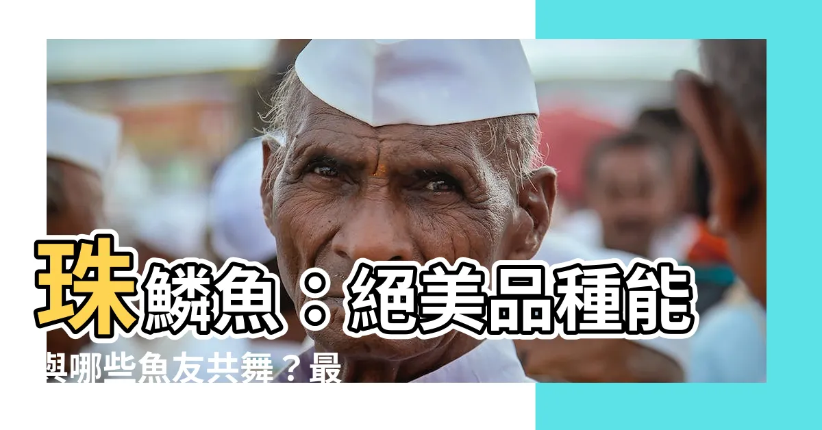 【珠鱗可以和什麼魚混養】珠鱗魚：絕美品種能與哪些魚友共舞？最佳混養選擇解析！