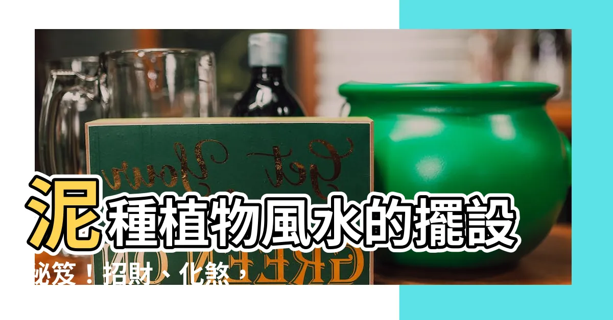 【泥種植物風水】泥種植物風水的擺設秘笈！招財、化煞，家居好幫手
