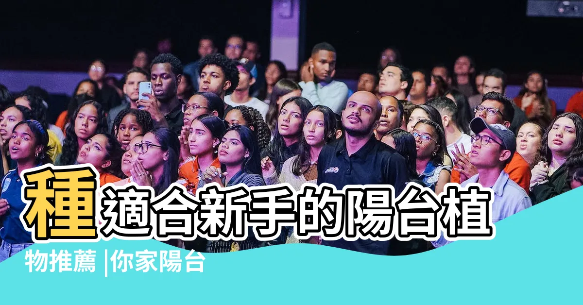【高樓陽台植物】種適合新手的陽台植物推薦 |你家陽台方位適合 |適合種在高樓層的植栽建議 |