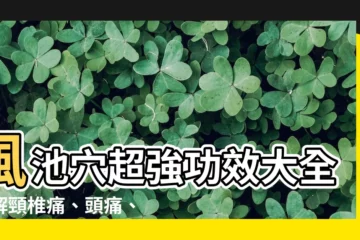 【風馳穴】風池穴超強功效大全：解頸椎痛、頭痛、失眠、水腫一次搞定！
