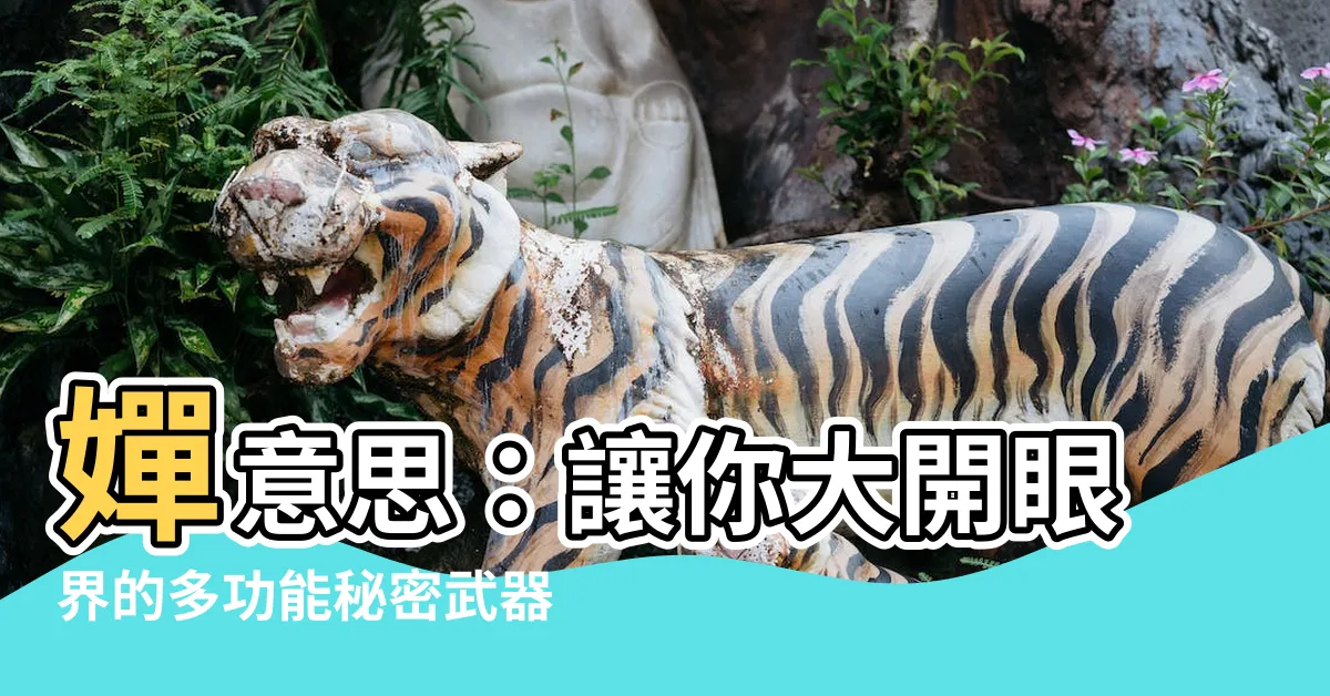 【嬋意思】嬋意思：讓你大開眼界的多功能秘密武器！